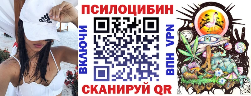 Купить где  Бикин  Псилоцибиновые грибы Cubensis 